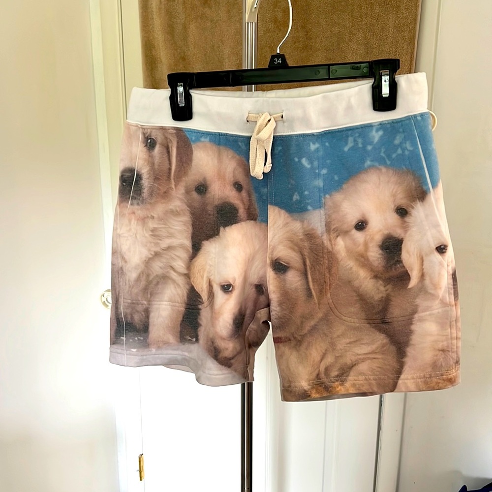 Chubbies golden retriever sweat shorts